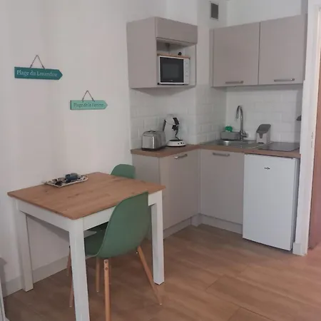 Studio Climatise, Une Place De Parking A La Faviere Bormes-les-Mimosas Extérieur photo